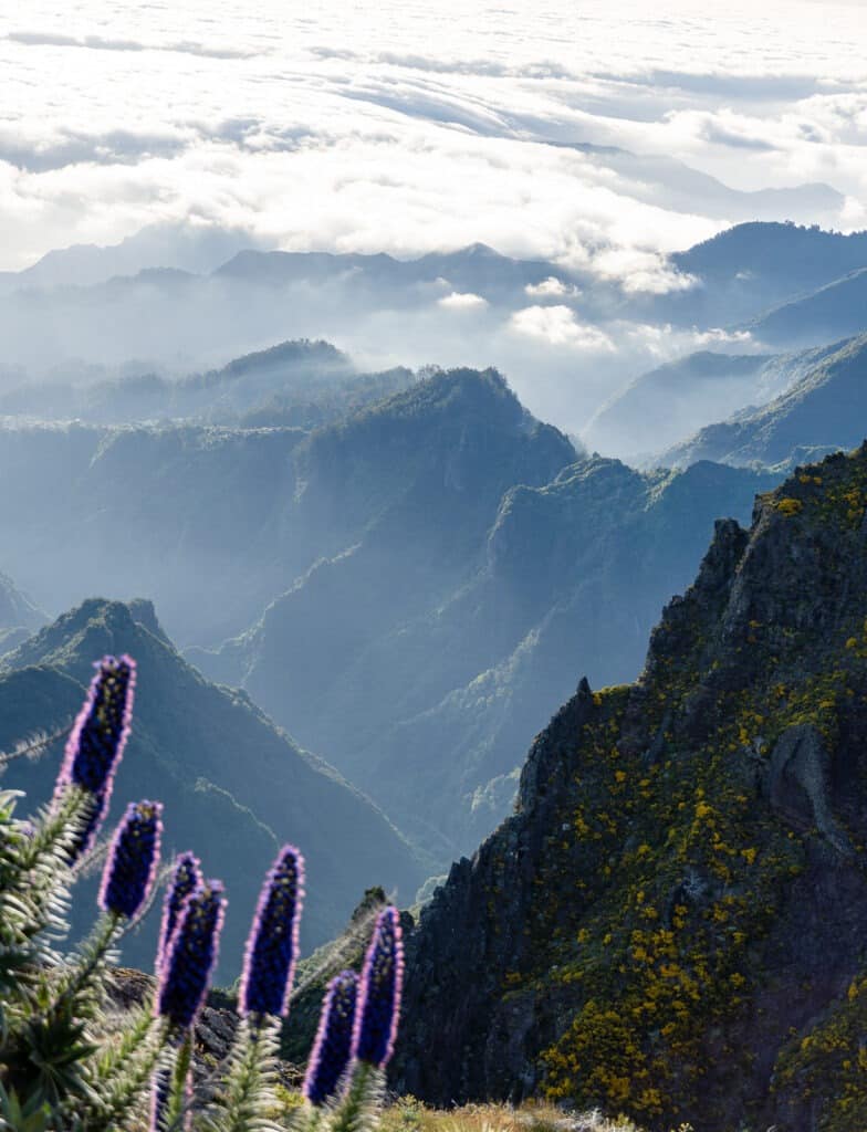 Madeira Travel Guide