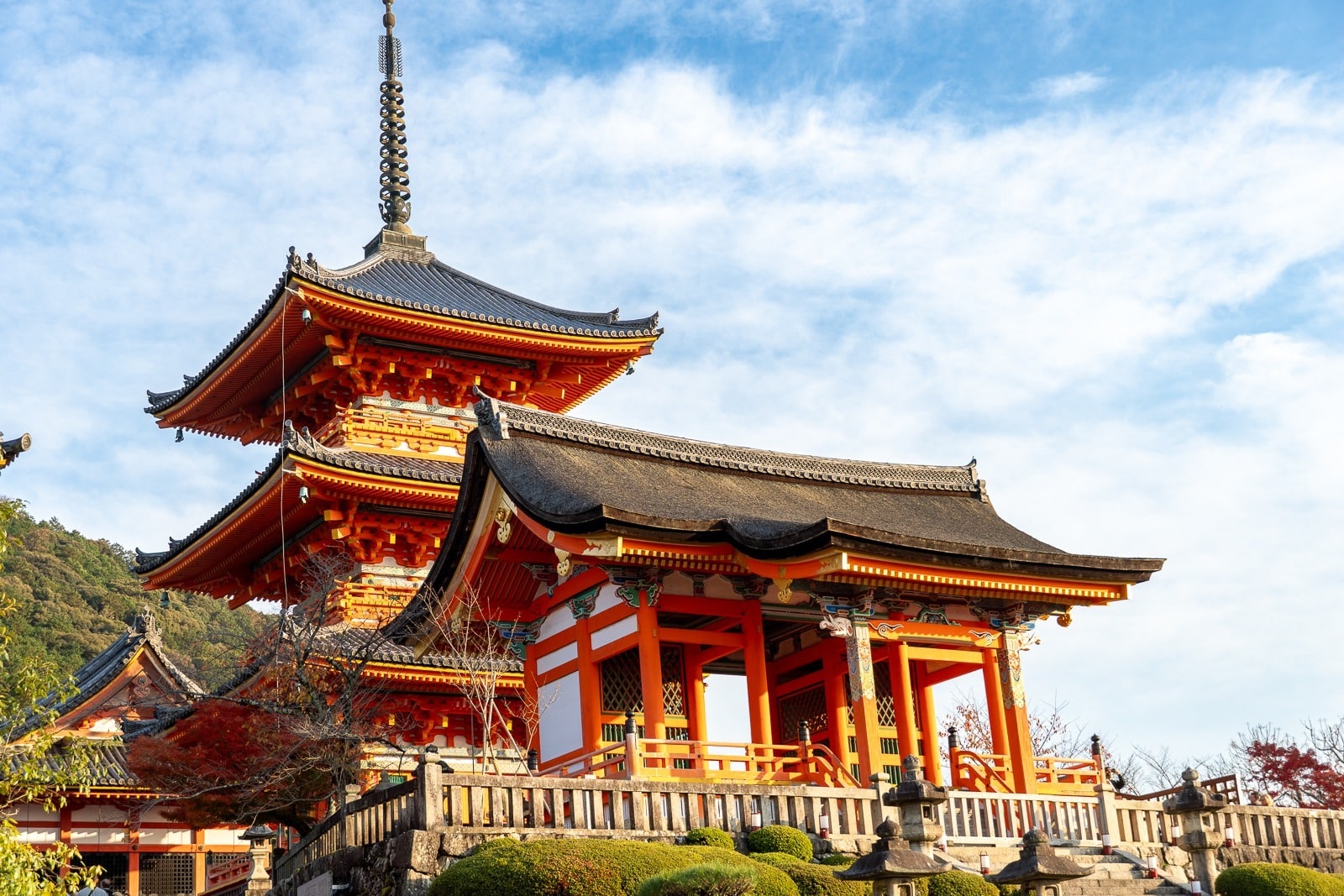 Kyoto Travel Guide – Is Kyoto Worth Visiting? + Best Activities in Kyoto