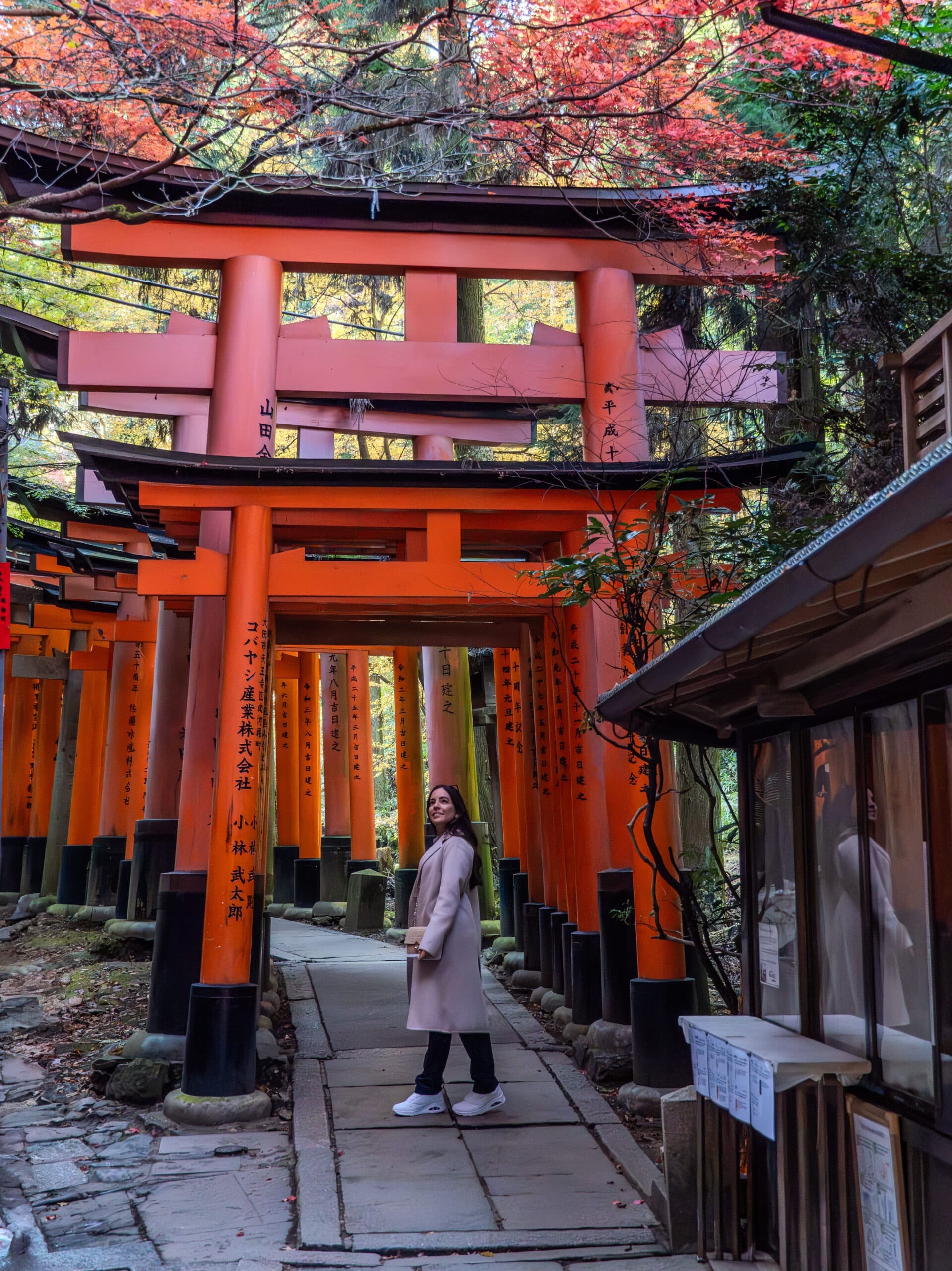 Best Activities in Kyoto