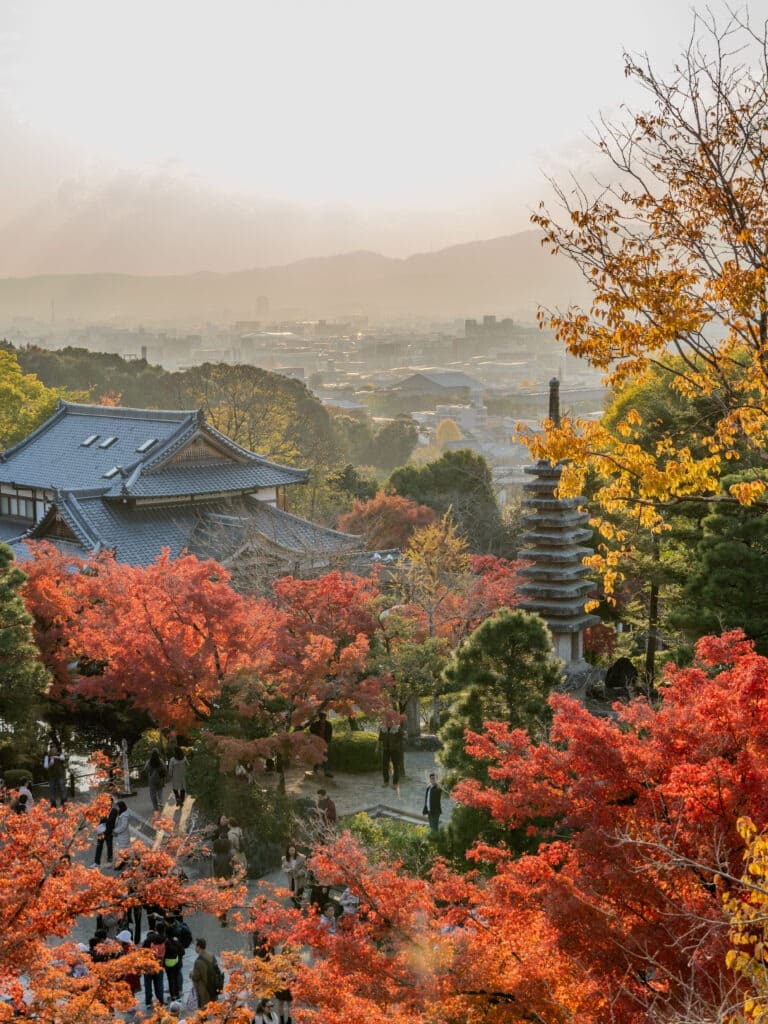 Is Kyoto worth Visiting?