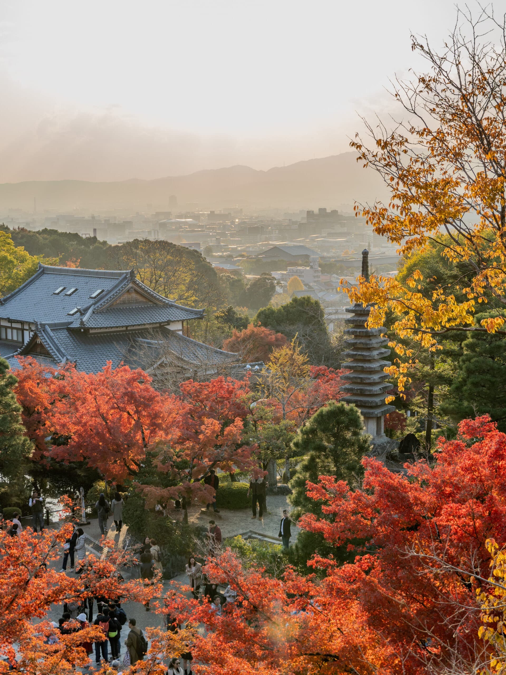 Is Kyoto worth Visiting?